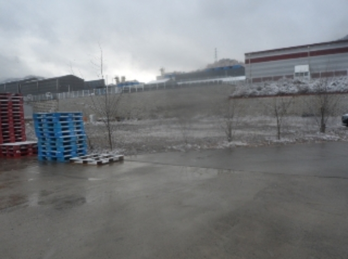 기호 1번 근거리에서 촬영한 것임