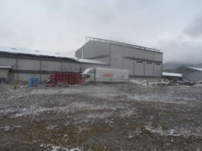 기호 1번 근거리에서 촬영한 것임