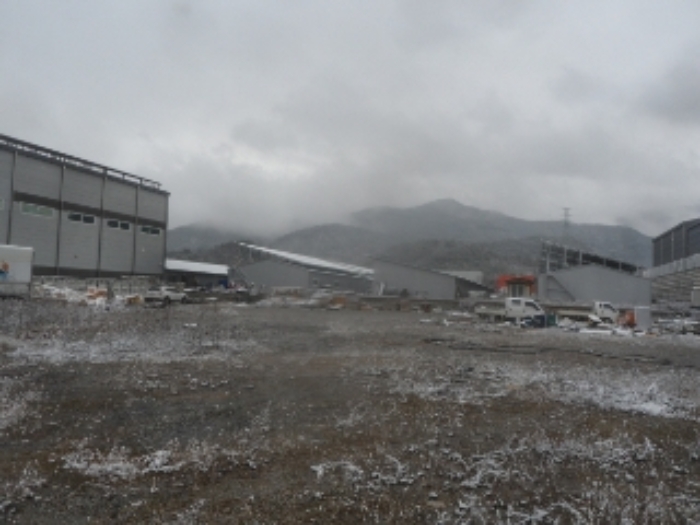 기호 1번 근거리에서 촬영한 것임