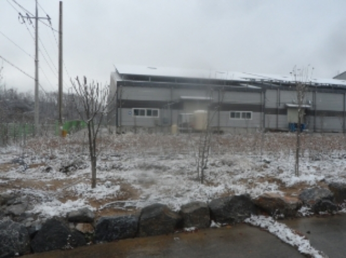 기호 1번 근거리에서 촬영한 것임