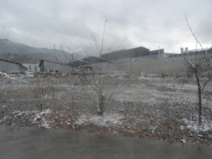 기호 1번 근거리에서 촬영한 것임