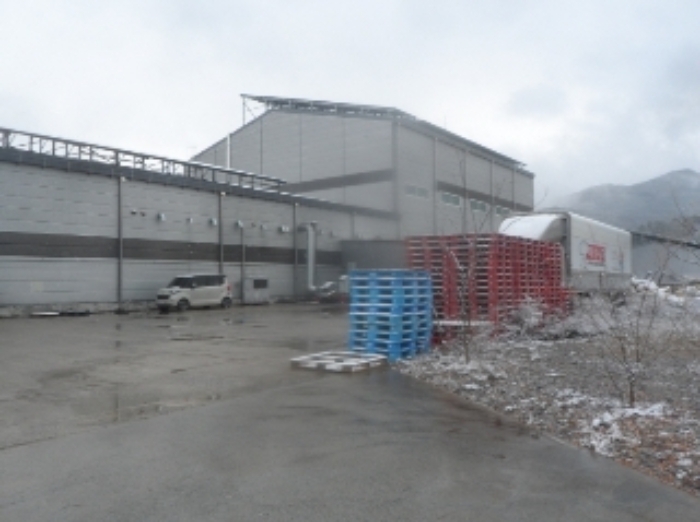 기호 1번 근거리에서 촬영한 것임