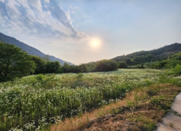 충청북도 영동군