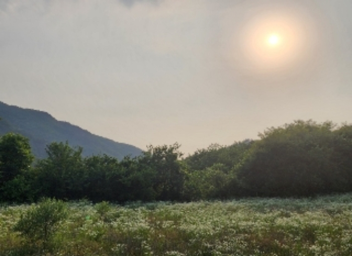 충청북도 영동군
