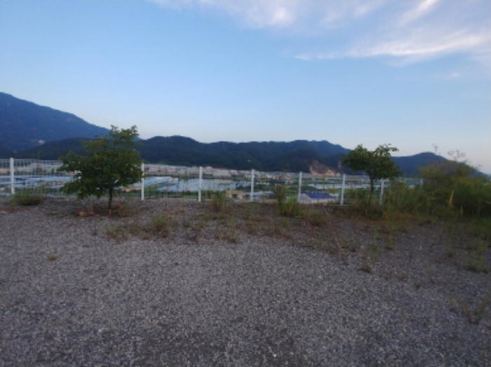 철망 울타리 모습3