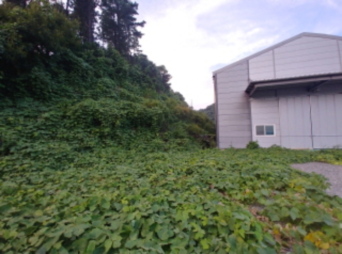 목록5 주변 공장마당 모습2