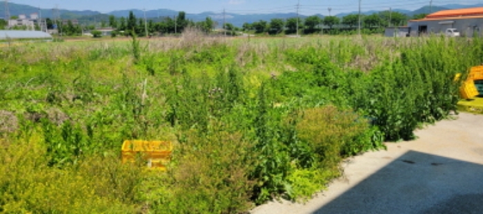 서원리 494-3 전경 - 공장 뒷편 묵 답 상태임.