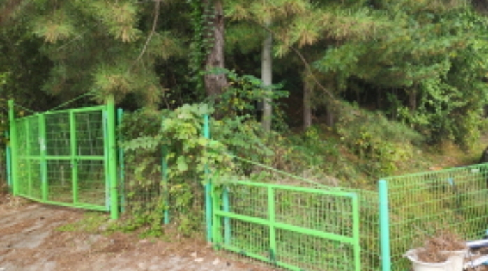 제시외 메쉬철망 출입문과 담장의 일부