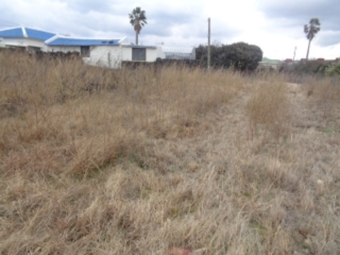 본건(귀덕리 3012-1) 전경 사진