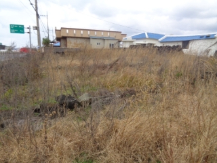 본건(귀덕리 3012-1) 전경 사진