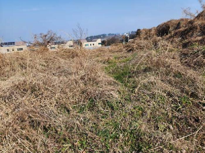 소재지3(광령리 1881-2) 전경 사진