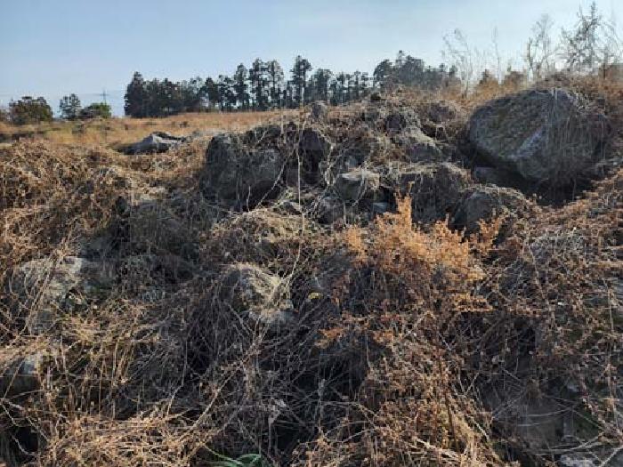 소재지3(광령리 1881-2) 전경 사진