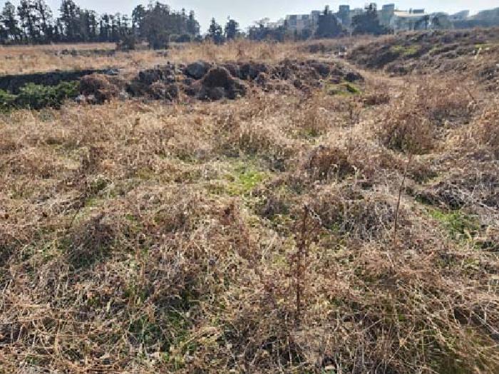 소재지3(광령리 1881-2) 전경 사진