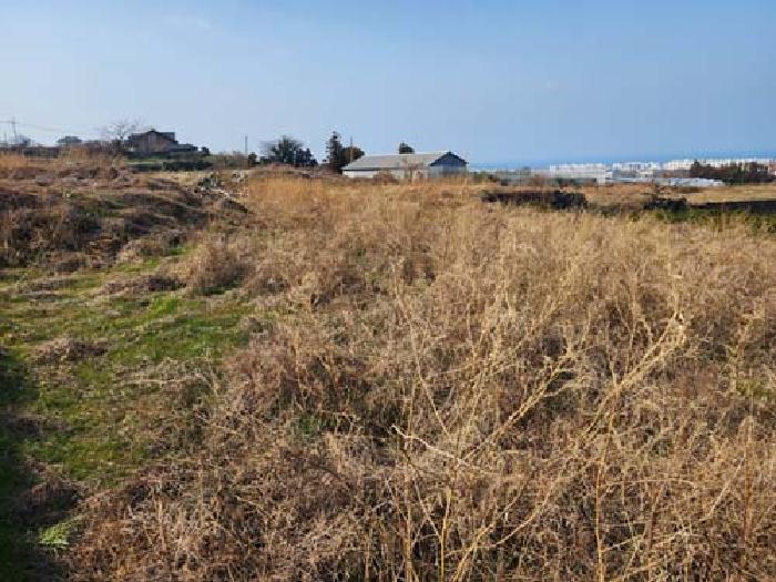 소재지4(광령리 1884-1) 전경 사진