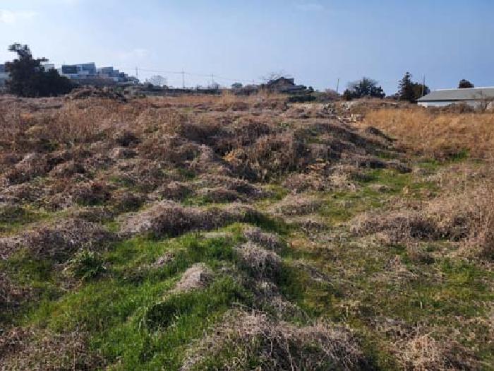 소재지4(광령리 1884-1) 전경 사진