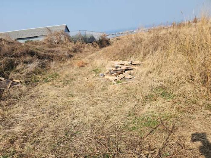 소재지4(광령리 1884-1) 전경 사진