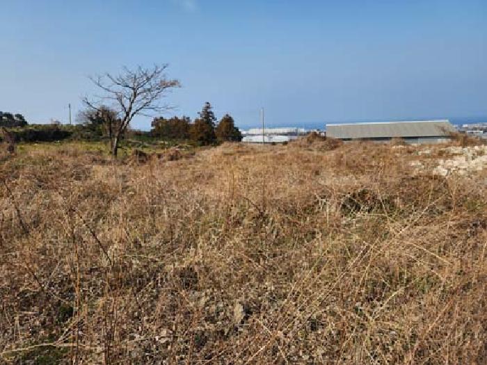 소재지5(광령리 1884-7) 전경 사진