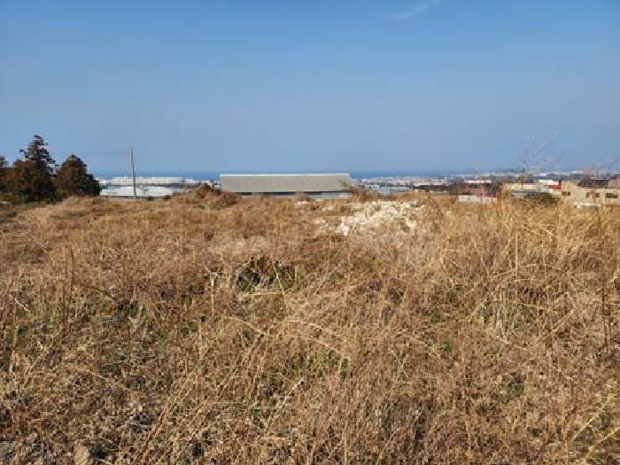 소재지5(광령리 1884-7) 전경 사진