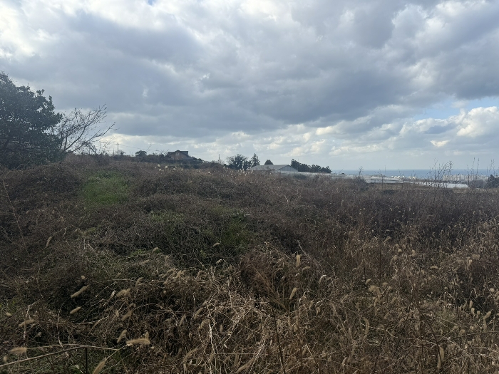 기호 2) 토지(현황 전(휴경))