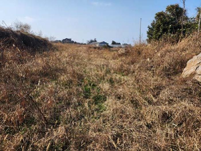 소재지1(광령리 1862) 전경 사진