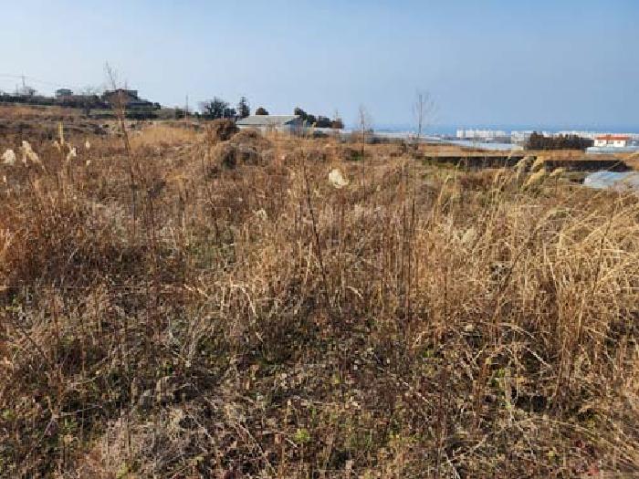 소재지2(광령리 1863) 전경 사진