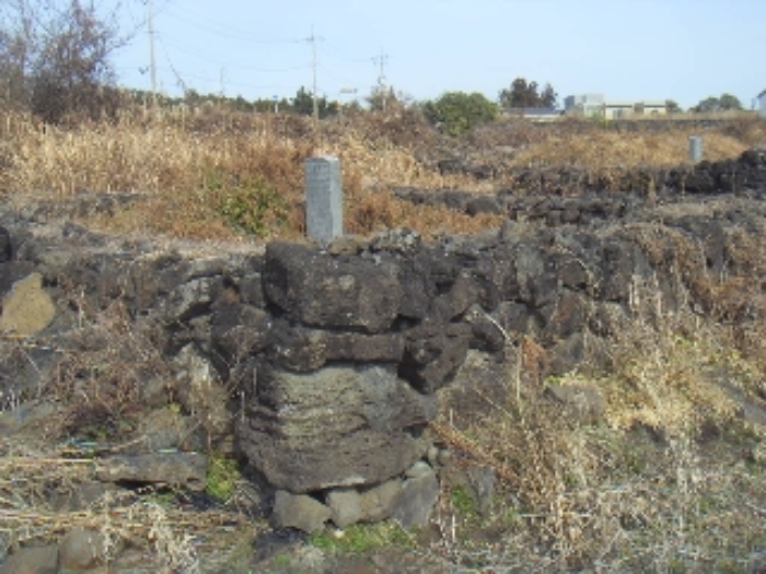본건(동광리 1278) 지상 및 제시외 인접토지 1277 양 지상에 소재하는 것으로 보여지는 제시외 분묘 사진