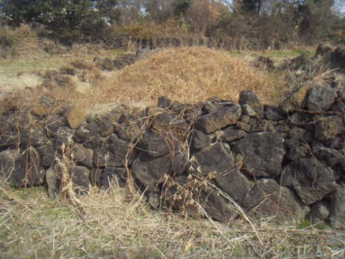 본건(동광리 1278) 지상 제시외 분묘 사진