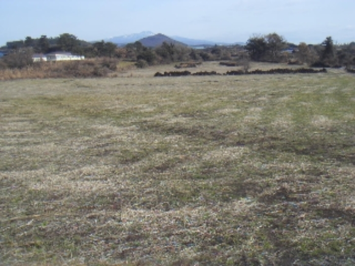 본건(동광리 1278) 전경 사진