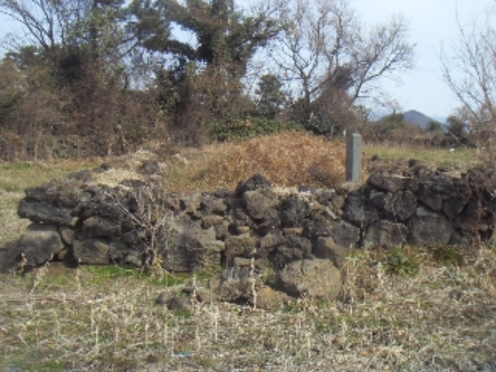 본건(동광리 1278) 지상 제시외 분묘 사진