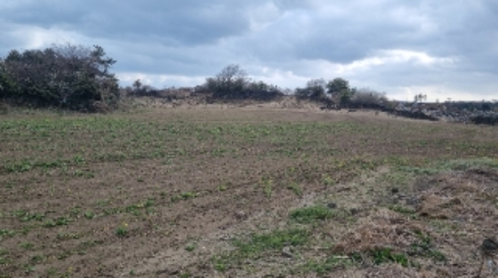 소재지4(하도리