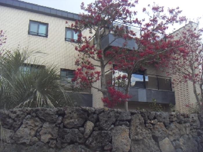 소재지1(안성리 1104) 지상 소재 제3자 소유 건물