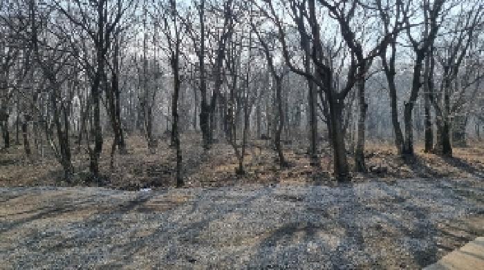 소재지9(교래리 781-4) 전경1