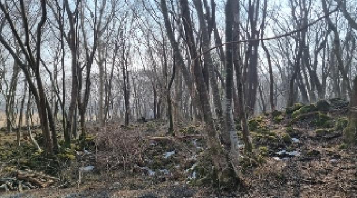 소재지9(교래리 781-4) 전경2