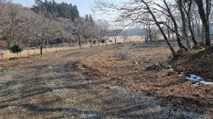 소재지9(교래리 781-4) 전경3