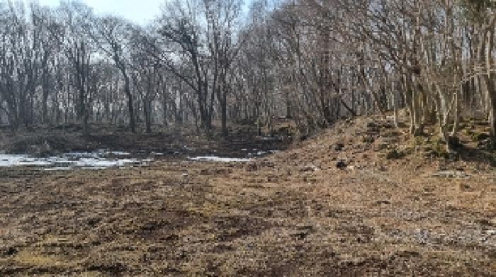 소재지9(교래리 781-4) 전경4