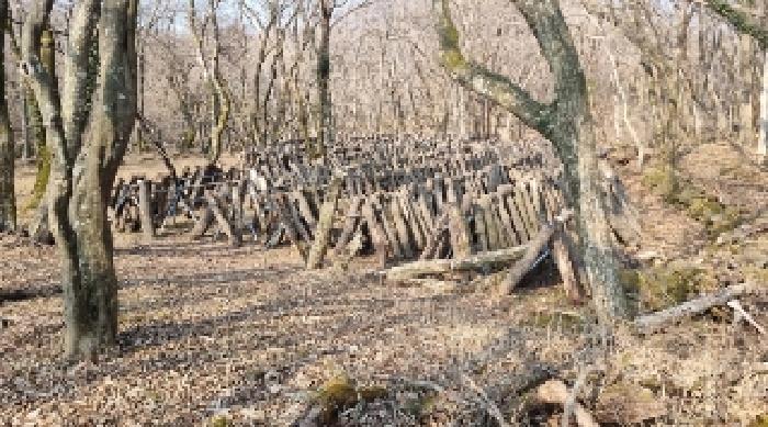 소재지9(교래리 781-4) 전경5