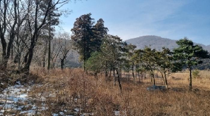 소재지4(교래리 산122-1) 전경1