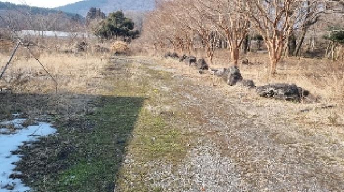 소재지4(교래리 산122-1) 전경3