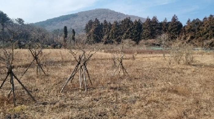 소재지4(교래리 산122-1) 전경4