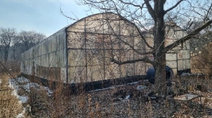 소재지4(교래리 산122-1) 지상에 소재한 철파이프조 비닐하우스 시설1