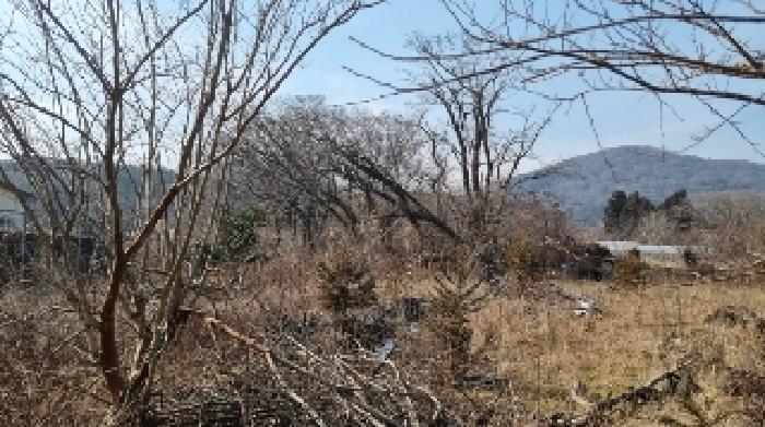 소재지5(교래리 산121-2) 전경1