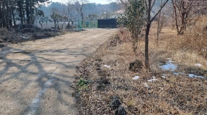 소재지5(교래리 산121-2) 전경2