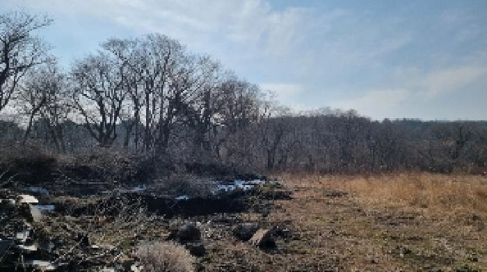 소재지5(교래리 산121-2) 전경3