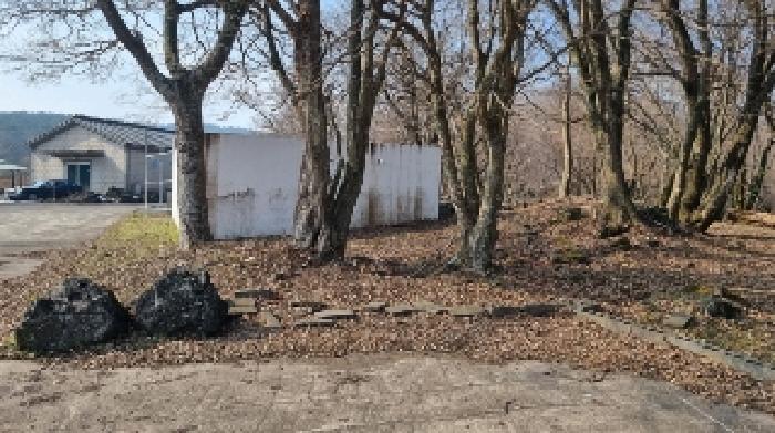 소재지7(교래리 781-17) 전경