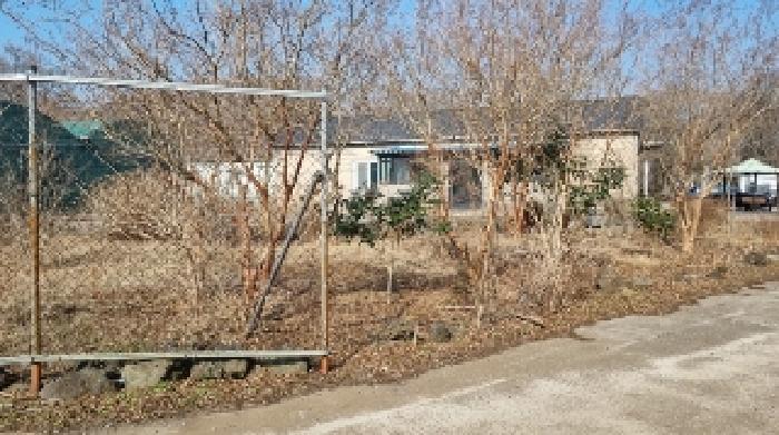 소재지21(교래리 781-6) 전경