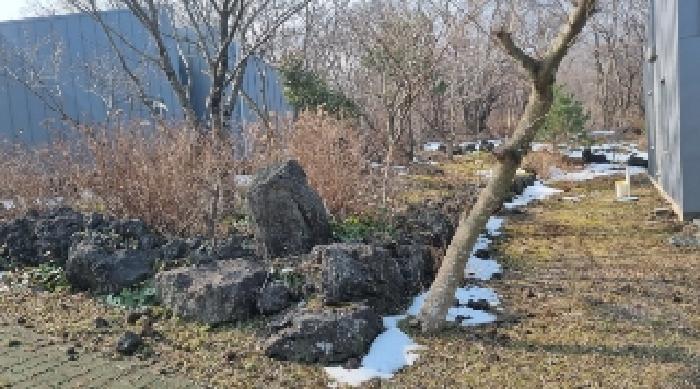 소재지11(교래리 781-5) 전경2