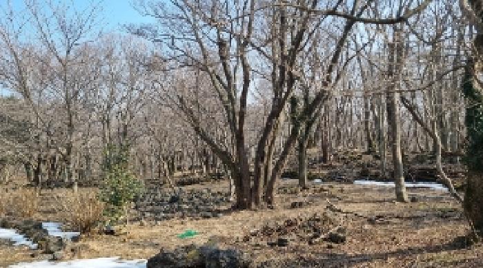 소재지2(교래리 781-3) 전경1