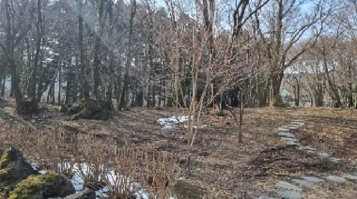 소재지2(교래리 781-3) 전경2