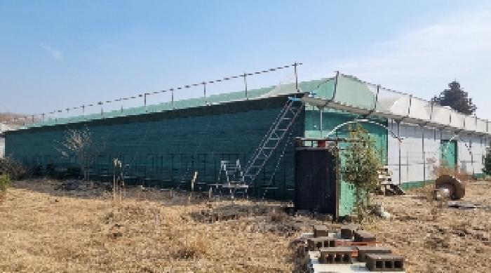 소재지4(교래리 산122-1) 지상에 소재한 철파이프조 비닐하우스 시설2