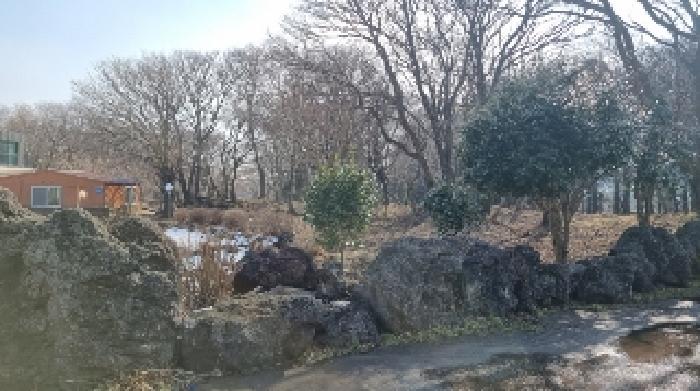 소재지18(교래리 781-1) 전경2